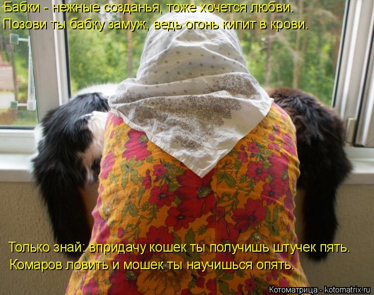 Котоматрица: Бабки - нежные созданья, тоже хочется любви. Позови ты бабку замуж, ведь огонь кипит в крови. Только знай: впридачу кошек ты получишь штучек п