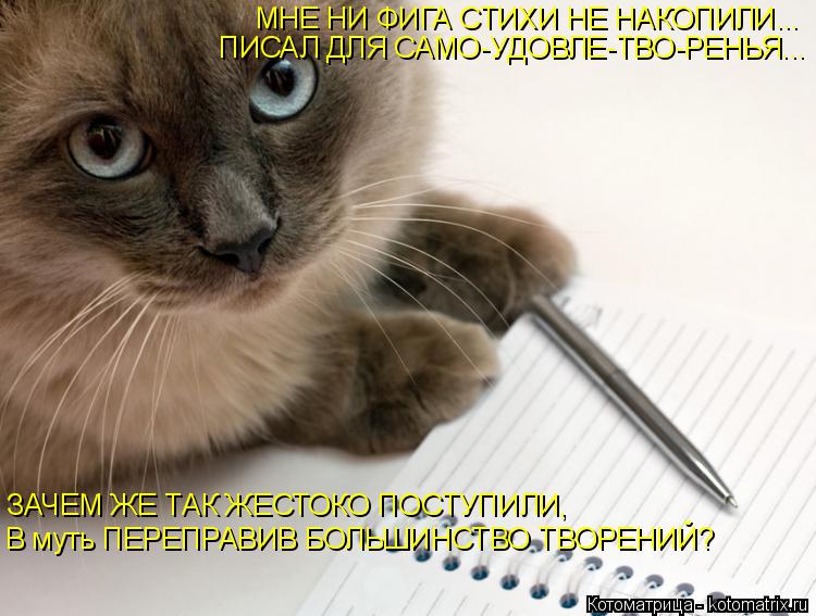 Котоматрица: МНЕ НИ ФИГА СТИХИ НЕ НАКОПИЛИ... ПИСАЛ ДЛЯ САМО-УДОВЛЕ-ТВО-РЕНЬЯ... ЗАЧЕМ ЖЕ ТАК ЖЕСТОКО ПОСТУПИЛИ, В муть ПЕРЕПРАВИВ БОЛЬШИНСТВО ТВОРЕНИЙ?