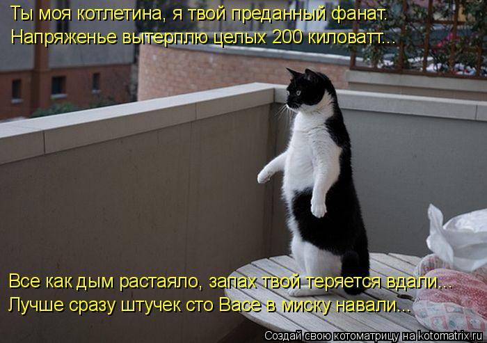 Котоматрица: Ты моя котлетина, я твой преданный фанат. Все как дым растаяло, запах твой теряется вдали... Лучше сразу штучек сто Васе в миску навали... Напр