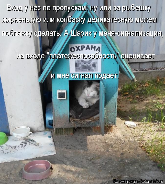 Вход у нас по пропускам, ну или за рыбешку жирненькую или колбаску деликатесную можем поблажку сдела... Котоматрица: Вход у нас по пропускам, ну или за рыбешку жирненькую или колбаску деликатесную можем поблажку сделать. А Шарик у меня-сигнализация, на вхо