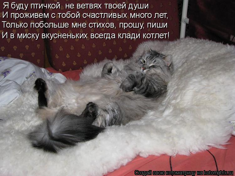 Котоматрица: Я буду птичкой  не ветвях твоей души И проживем с тобой счастливых много лет,  Только побольше мне стихов, прошу, пиши И в миску вкусненьких в