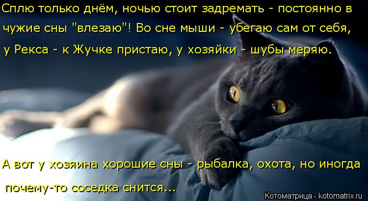 Сплю только днём, ночью стоит задремать - постоянно в чужие сны "влезаю"! Во сне мыши - убегаю сам от... Котоматрица: Сплю только днём, ночью стоит задремать - постоянно в чужие сны "влезаю"! Во сне мыши - убегаю сам от себя, у Рекса - к Жучке пристаю, у хозяйки -