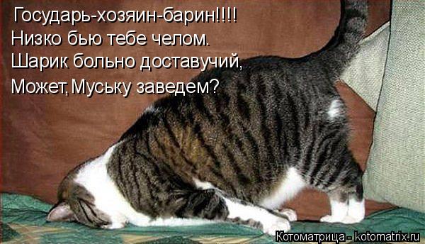 Государь-хозяин-барин!!!! Низко бью тебе челом. Шарик больно доставучий, Может,Муську заведем?... Котоматрица: Государь-хозяин-барин!!!! Низко бью тебе челом. Шарик больно доставучий, Может,Муську заведем?