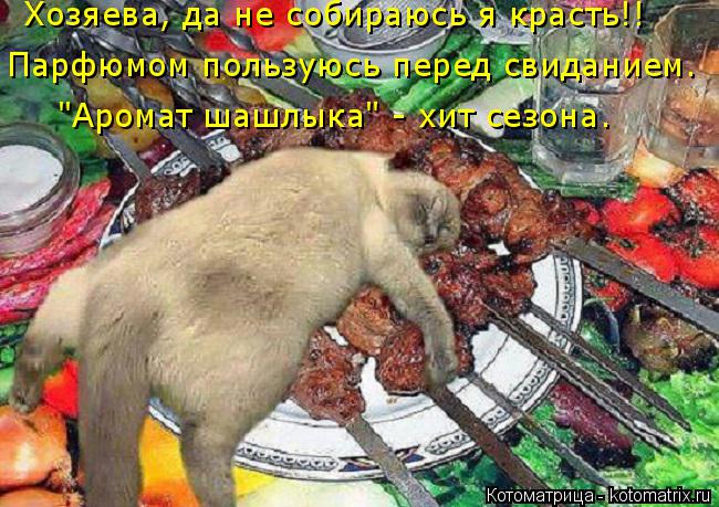 "Аромат шашлыка" - хит сезона. Парфюмом пользуюсь перед свиданием. Хозяева, да не собираюсь я красть... Котоматрица: "Аромат шашлыка" - хит сезона. Парфюмом пользуюсь перед свиданием. Хозяева, да не собираюсь я красть!!