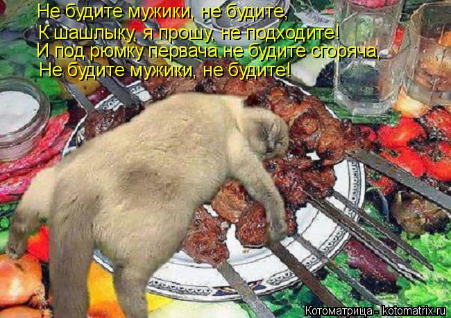 Котоматрица: Не будите мужики, не будите, К шашлыку, я прошу, не подходите! И под рюмку первача не будите сгоряча, Не будите мужики, не будите!