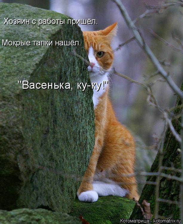 Котоматрица: Хозяин с работы пришёл.  Мокрые тапки нашёл.  "Васенька, ку-ку!"