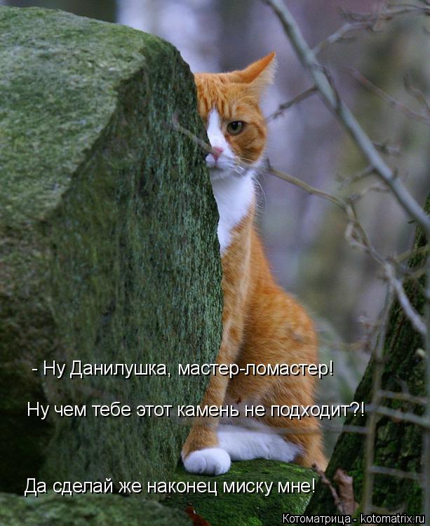 Котоматрица: - Ну Данилушка, мастер-ломастер! Ну чем тебе этот камень не подходит?! Да сделай же наконец миску мне!
