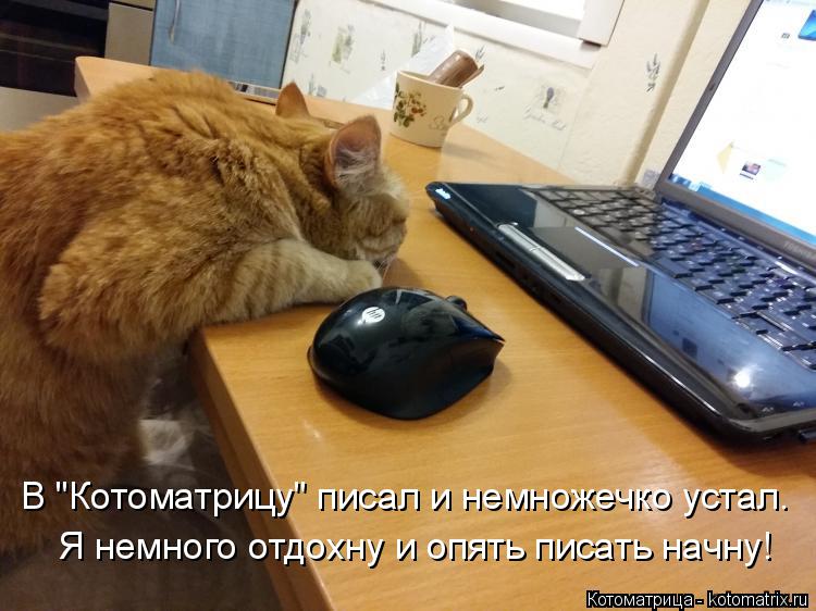 Котоматрица: Я немного отдохну и опять писать начну! В "Котоматрицу" писал и немножечко устал.