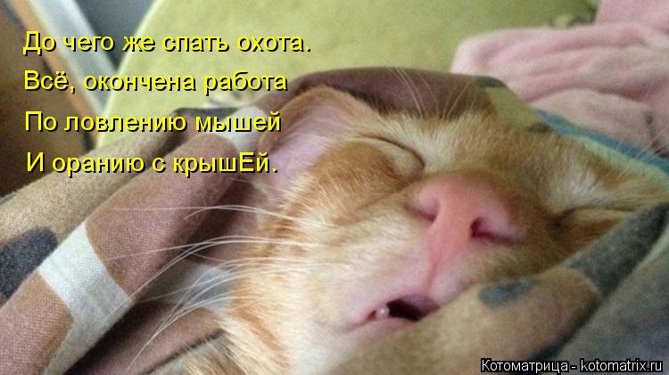 Котоматрица: До чего же спать охота. Всё, окончена работа По ловлению мышей И оранию с крышЕй.