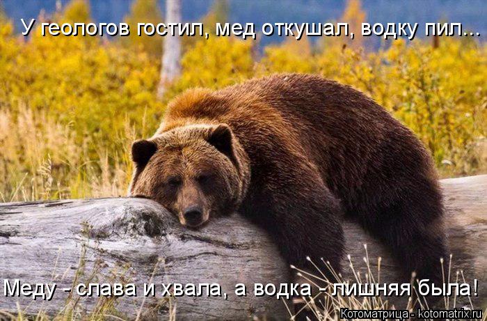 У геологов гостил, мед откушал, водку пил... Меду - слава и хвала, а водка - лишняя была!... Котоматрица: У геологов гостил, мед откушал, водку пил... Меду - слава и хвала, а водка - лишняя была!