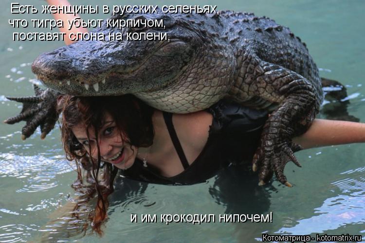 Котоматрица: Есть женщины в русских селеньях,  поставят слона на колени,  и им крокодил нипочем! что тигра убьют кирпичом,