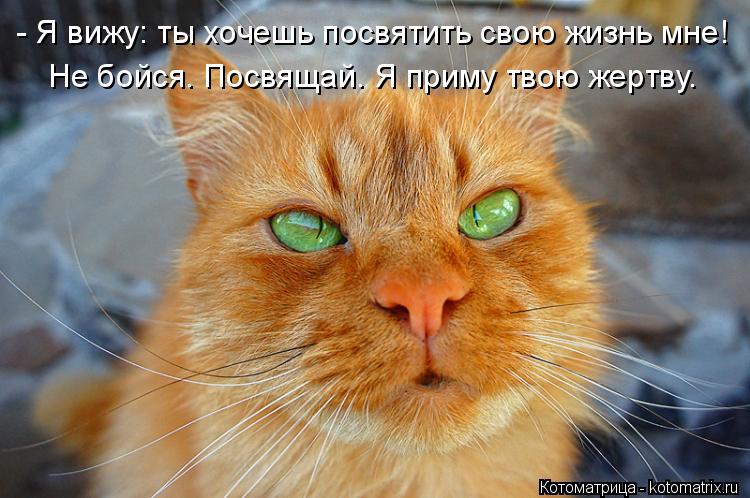 - Я вижу: ты хочешь посвятить свою жизнь мне! Не бойся. Посвящай. Я приму твою жертву.... Котоматрица: - Я вижу: ты хочешь посвятить свою жизнь мне! Не бойся. Посвящай. Я приму твою жертву.