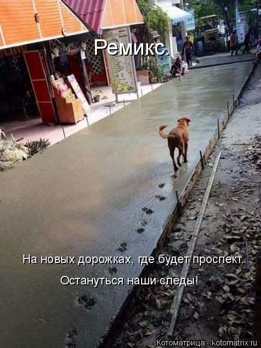 Котоматрица: Ремикс. На новых дорожках, где будет проспект. Остануться наши следы!