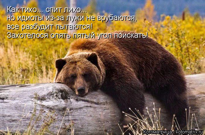 Котоматрица: Как тихо... спит лихо... но идиоты из-за лужи не врубаются,  все разбудит пытаются! Захотелося опять пятый угол поискать!