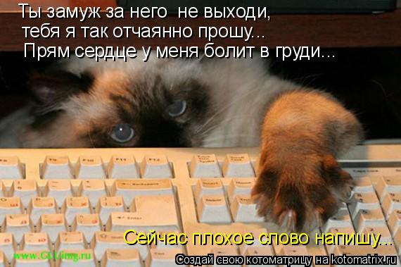 Ты замуж за него не выходи, тебя я так отчаянно прошу... Прям сердце у меня болит в груди... Сейчас... Котоматрица: Ты замуж за него не выходи, тебя я так отчаянно прошу... Прям сердце у меня болит в груди... Сейчас плохое слово напишу...