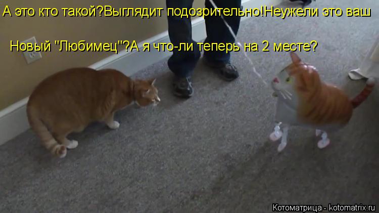 А это кто такой?Выглядит подозрительно!Неужели это ваш Новый "Любимец"?А я что-ли теперь на 2 месте?... Котоматрица: А это кто такой?Выглядит подозрительно!Неужели это ваш Новый "Любимец"?А я что-ли теперь на 2 месте?