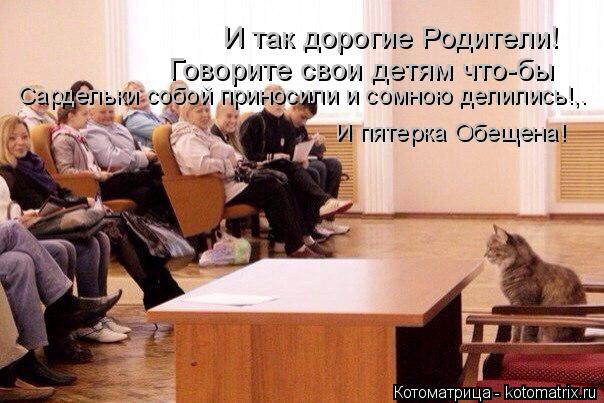 И так дорогие Родители! Говорите свои детям что-бы Сардельки собой приносили и сомною делились!,. И п... Котоматрица: И так дорогие Родители! Говорите свои детям что-бы Сардельки собой приносили и сомною делились!,. И пятерка Обещена!