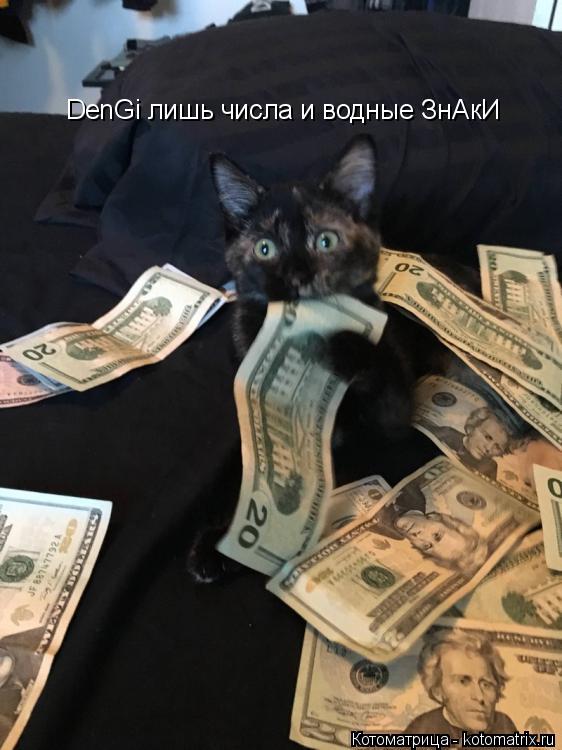 DenGi лишь числа и водные ЗнАкИ... Котоматрица: DenGi лишь числа и водные ЗнАкИ