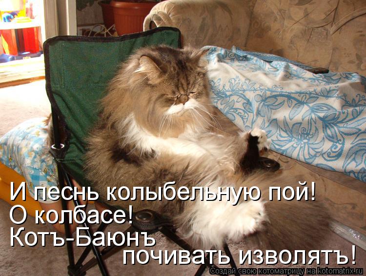 Котъ-Баюнъ почивать изволятъ! И песнь колыбельную пой! О колбасе!... Котоматрица: Котъ-Баюнъ почивать изволятъ! И песнь колыбельную пой! О колбасе!