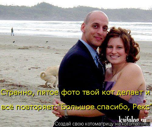 Странно, пятое фото твой кот делает и всё повторяет:"Большое спасибо, Рекс"... Котоматрица: Странно, пятое фото твой кот делает и всё повторяет:"Большое спасибо, Рекс"