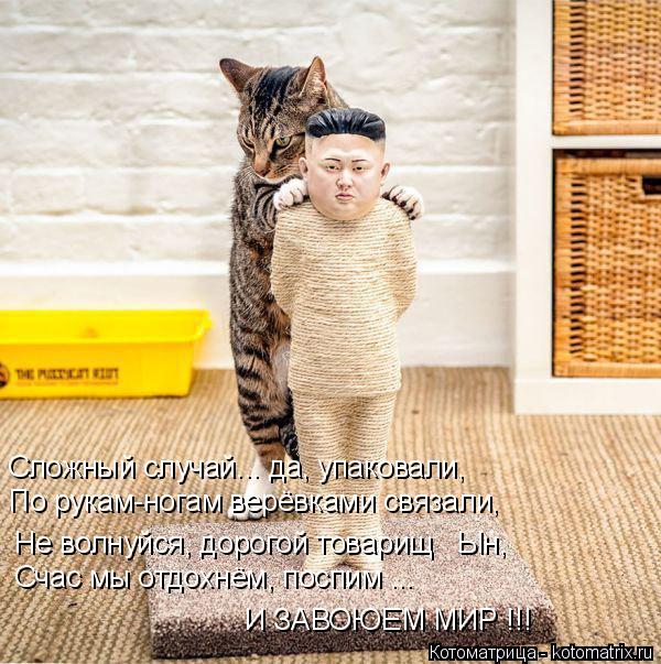 Сложный случай... да, упаковали, По рукам-ногам верёвками связали, Счас мы отдохнём, поспим ... И ЗАВ... Котоматрица: Сложный случай... да, упаковали, По рукам-ногам верёвками связали, Счас мы отдохнём, поспим ... И ЗАВОЮЕМ МИР !!! Не волнуйся, дорогой товарищ Ы