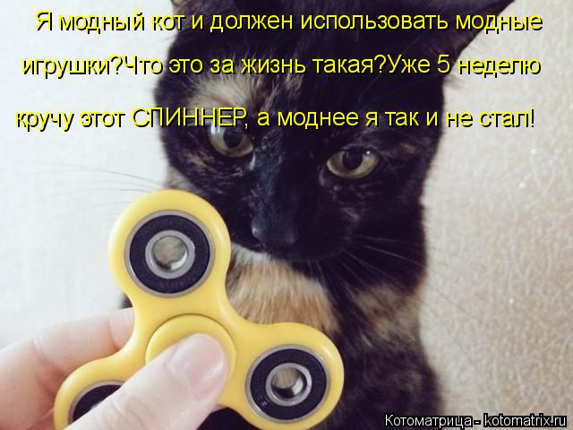 Я модный кот и должен использовать модные игрушки?Что это за жизнь такая?Уже 5 неделю кручу этот СПИН... Котоматрица: Я модный кот и должен использовать модные игрушки?Что это за жизнь такая?Уже 5 неделю кручу этот СПИННЕР, а моднее я так и не стал!