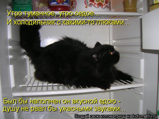 Утро туманное, утро седое... Был бы наполнен он вкусной едою - душу не рвал бы ужасными звуками... И... Котоматрица: Утро туманное, утро седое... Был бы наполнен он вкусной едою - душу не рвал бы ужасными звуками... И холодильник с какими-то глюками...
