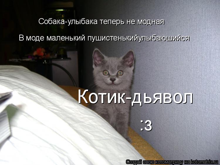 Собака-улыбака теперь не модная В моде маленький пушистенькийулыбаюшийся Котик-дьявол :з... Котоматрица: Собака-улыбака теперь не модная В моде маленький пушистенькийулыбаюшийся Котик-дьявол :з