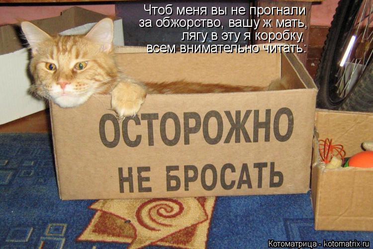 Чтоб меня вы не прогнали за обжорство, вашу ж мать, лягу в эту я коробку, всем внимательно читать:... Котоматрица: Чтоб меня вы не прогнали за обжорство, вашу ж мать, лягу в эту я коробку, всем внимательно читать: