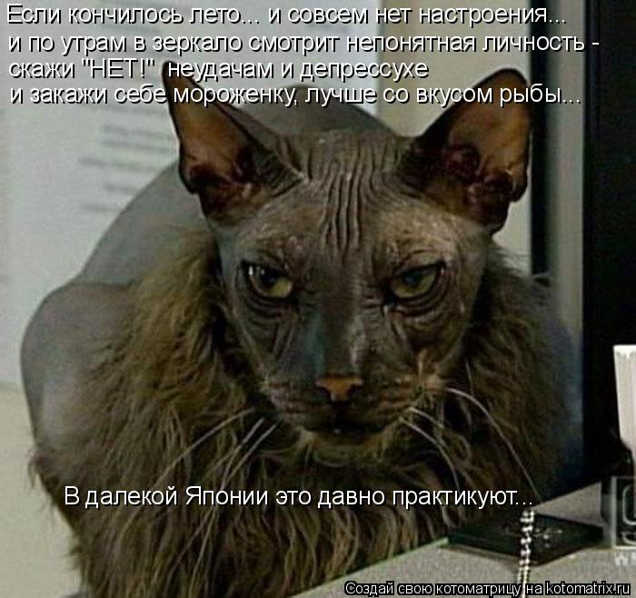 Если кончилось лето... и совсем нет настроения... и по утрам в зеркало смотрит непонятная личность - ... Котоматрица: Если кончилось лето... и совсем нет настроения... и по утрам в зеркало смотрит непонятная личность - скажи "НЕТ!" неудачам и депрессухе и зака