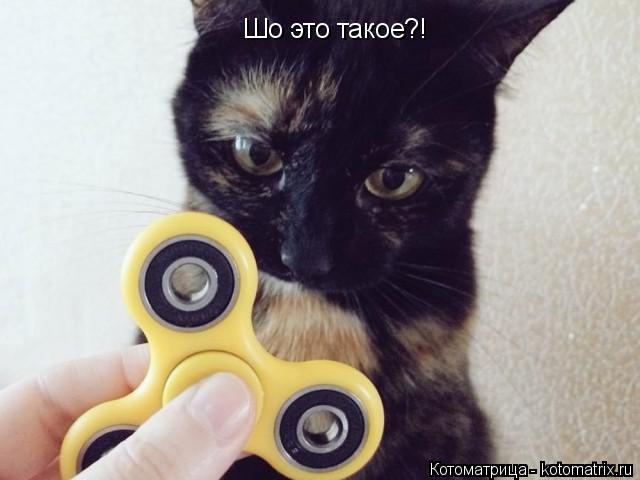 Шо это такое?!... Котоматрица: Шо это такое?!