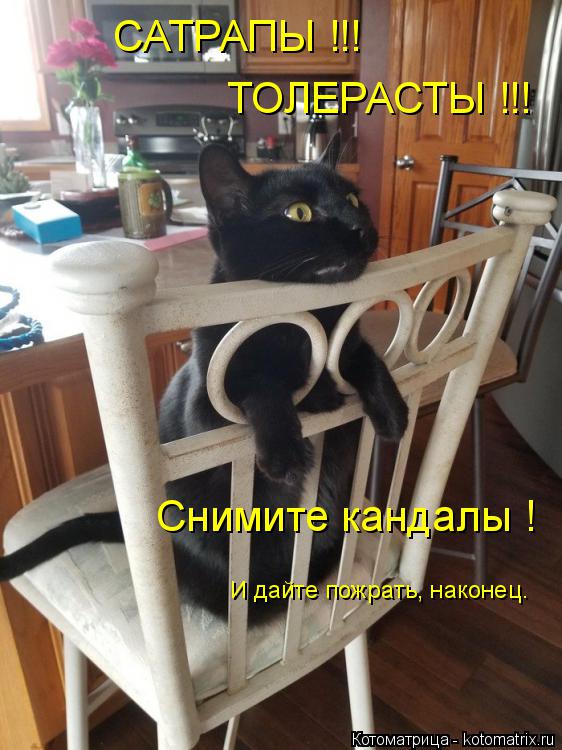 САТРАПЫ !!! ТОЛЕРАСТЫ !!! Снимите кандалы ! И дайте пожрать, наконец.... Котоматрица: САТРАПЫ !!! ТОЛЕРАСТЫ !!! Снимите кандалы ! И дайте пожрать, наконец.