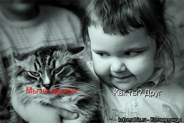 Как ты? Друг Мы не друзья....... Котоматрица: Как ты? Друг Мы не друзья....