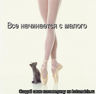 Все начинается с малого... Котоматрица: Все начинается с малого