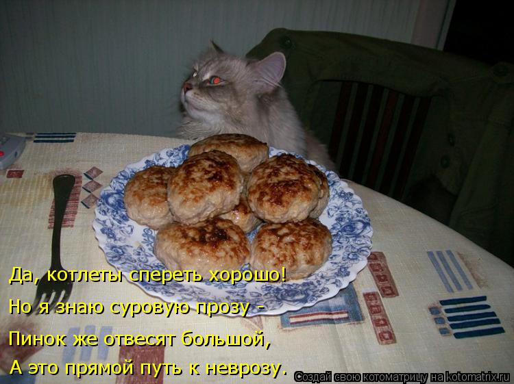 Да, котлеты спереть хорошо! Но я знаю суровую прозу - А это прямой путь к неврозу. Пинок же отвесят б... Котоматрица: Да, котлеты спереть хорошо! Но я знаю суровую прозу - А это прямой путь к неврозу. Пинок же отвесят большой,