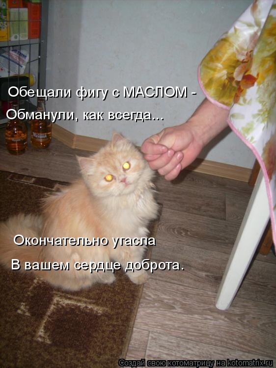 Котоматрица: Обещали фигу с МАСЛОМ - Обманули, как всегда... Окончательно угасла В вашем сердце доброта.