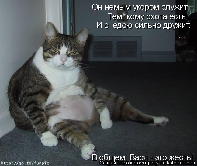 Котоматрица: Он немым укором служит Тем, кому охота есть,  И с  едою сильно дружит.  В общем, Вася - это жесть!