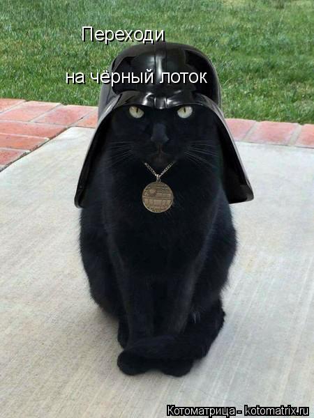 Переходи на чёрный лоток... Котоматрица: Переходи на чёрный лоток