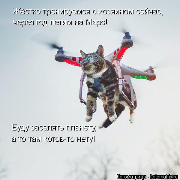 Котоматрица: Жёстко тренируемся с хозяином сейчас,  через год летим на Марс! Буду заселять планету,  а то там котов-то нету!