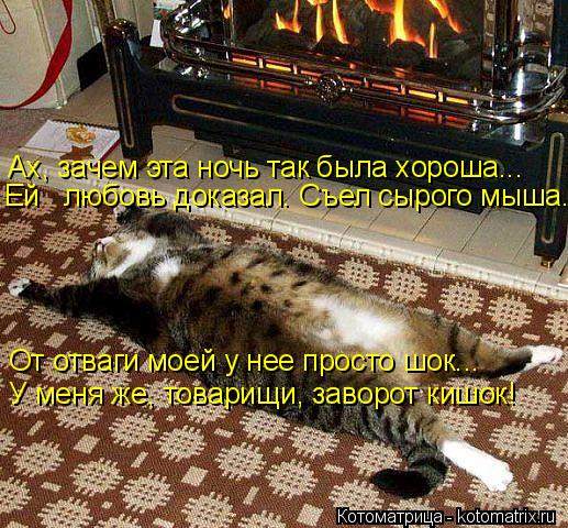 Котоматрица: Ах, зачем эта ночь так была хороша... Ей   любовь доказал. Съел сырого мыша... От отваги моей у нее просто шок... У меня же, товарищи, заворот кишо