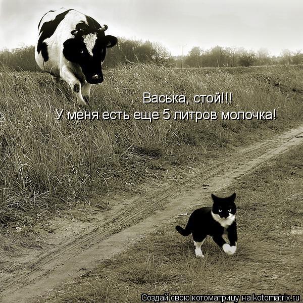 Котоматрица: Васька, стой!!! У меня есть еще 5 литров молочка!