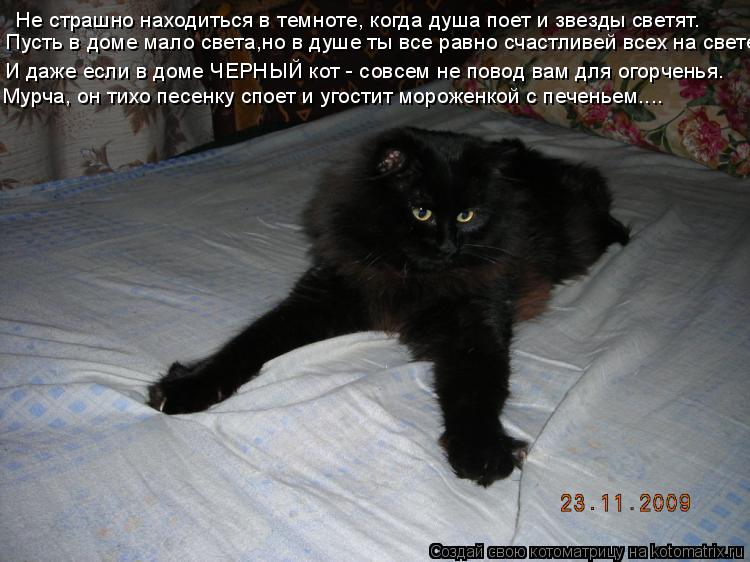 Котоматрица: Не страшно находиться в темноте, когда душа поет и звезды светят. Пусть в доме мало света,но в душе ты все равно счастливей всех на свете. И д