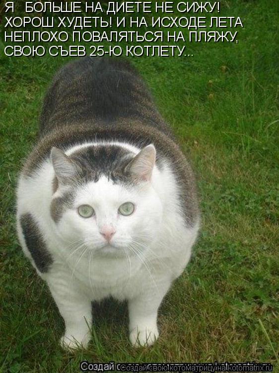 Котоматрица: Я   БОЛЬШЕ НА ДИЕТЕ НЕ СИЖУ! ХОРОШ ХУДЕТЬ! И НА ИСХОДЕ ЛЕТА НЕПЛОХО ПОВАЛЯТЬСЯ НА ПЛЯЖУ,  СВОЮ СЪЕВ 25-Ю КОТЛЕТУ...