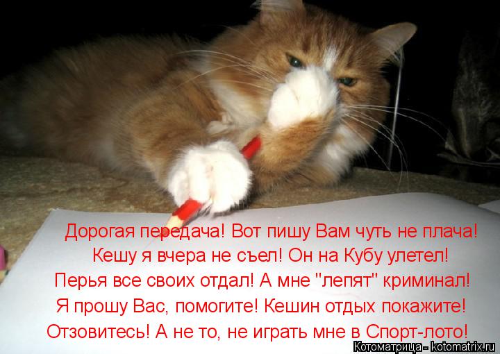 Котоматрица: Дорогая передача! Вот пишу Вам чуть не плача! Кешу я вчера не съел! Он на Кубу улетел! Перья все своих отдал! А мне "лепят" криминал! Я прошу Вас