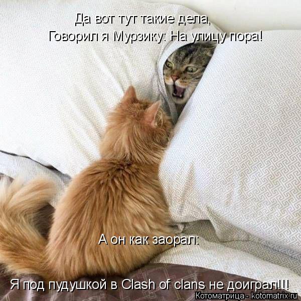 Котоматрица: Да вот тут такие дела, Говорил я Мурзику: На улицу пора! А он как заорал: Я под пудушкой в Clash of clans не доиграл!!!