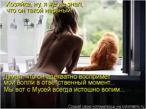 Котоматрица: Хозяйка, ну, я же не знал,  что он такой нервный... Думал, что он адекватно воспримет мои вопли в ответственный момент... Мы вот с Мусей всегда и