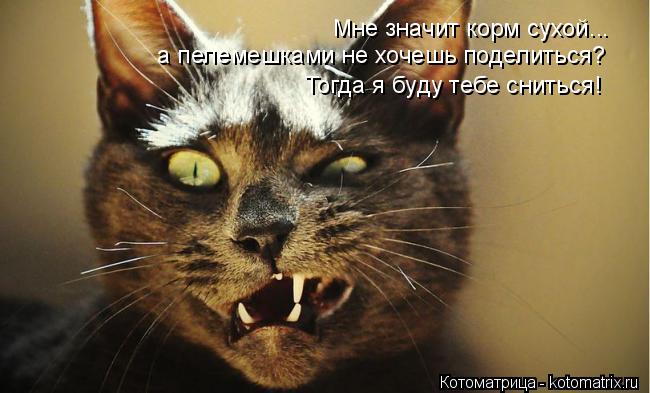 Котоматрица: Мне значит корм сухой...  а пелемешками не хочешь поделиться? Тогда я буду тебе сниться!