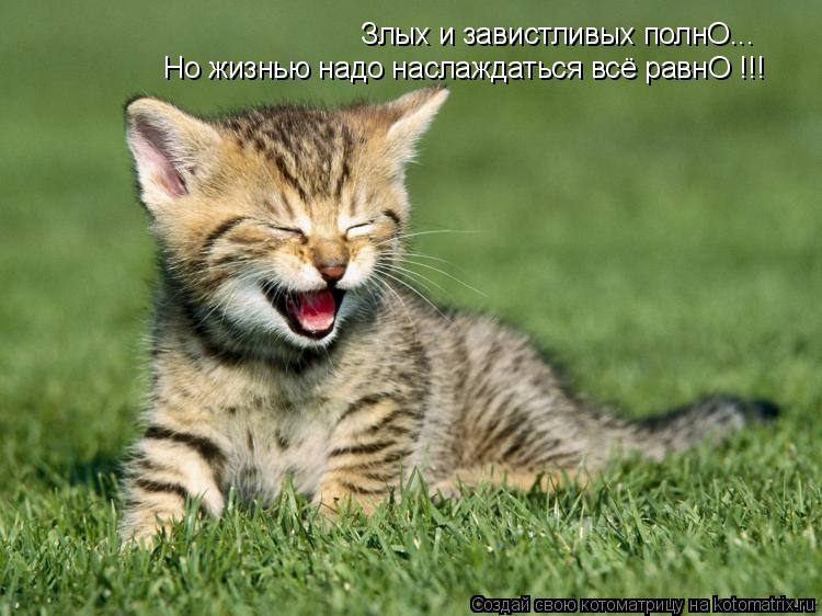 Котоматрица: Злых и завистливых полнО... Но жизнью надо наслаждаться всё равнО !!!