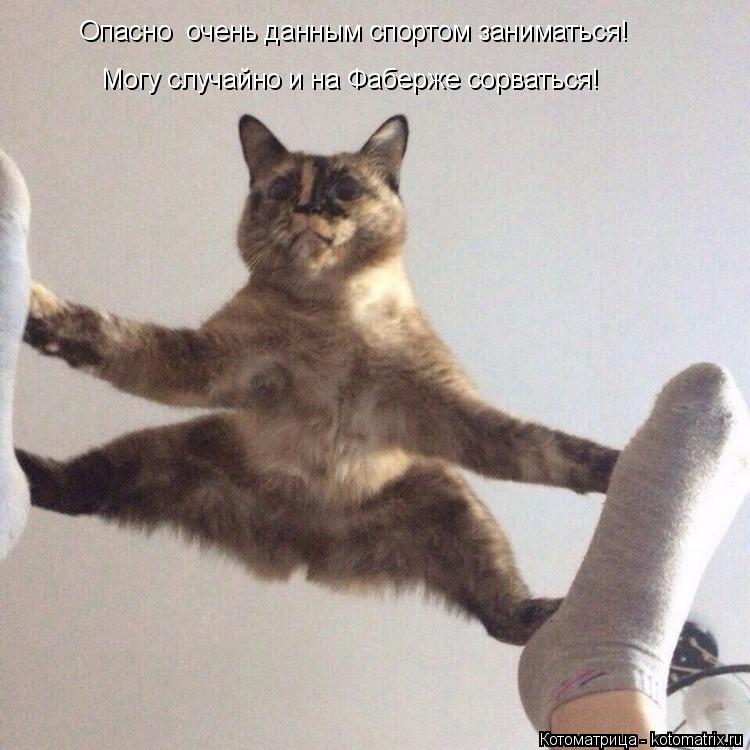 Котоматрица: Опасно  очень данным спортом заниматься! Могу случайно и на Фаберже сорваться!