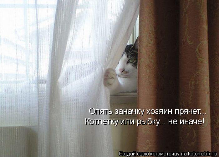Котоматрица: Опять заначку хозяин прячет... Котлетку или рыбку... не иначе!